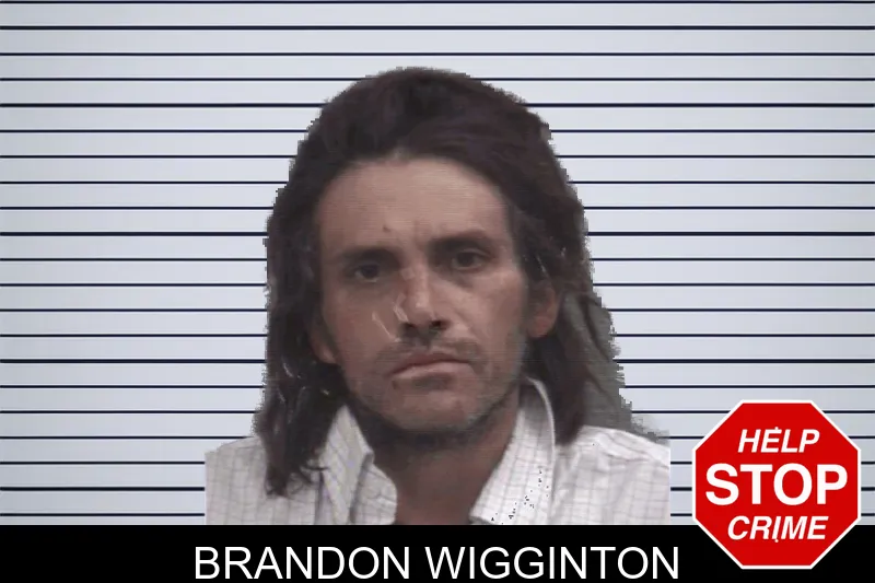 Brandon Wigginton mugshot