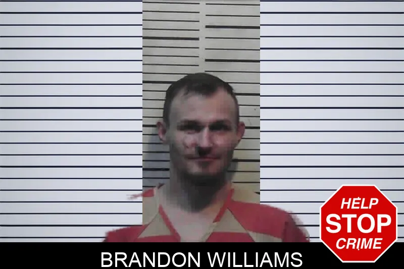 Brandon Williams mugshot