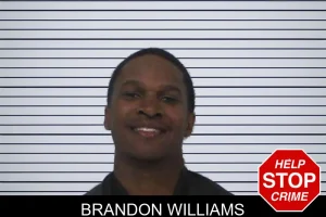 Brandon Williams mugshot