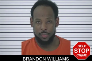 Brandon Williams mugshot