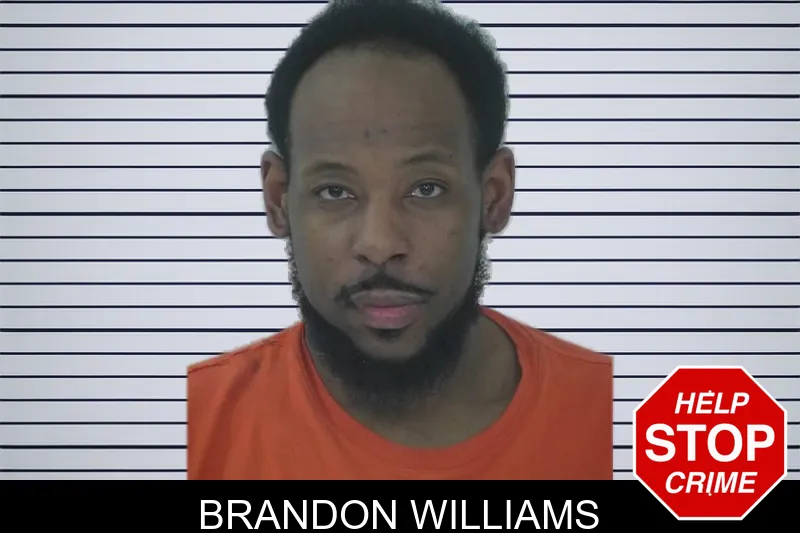 Brandon Williams mugshot – DeKalb County , Georgia Brandon Williams mugshot