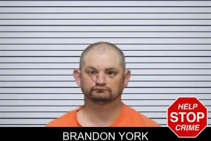 Brandon York mugshot