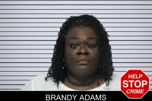 Brandy Adams mugshot