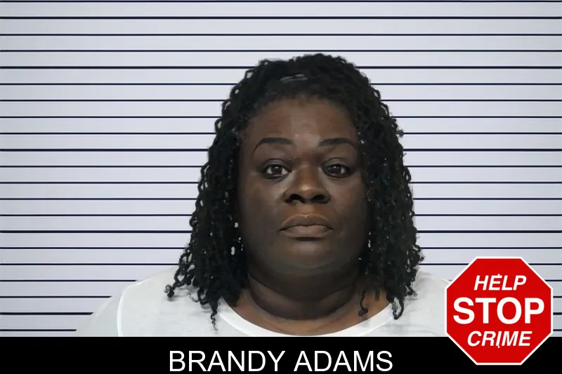Brandy Adams mugshot