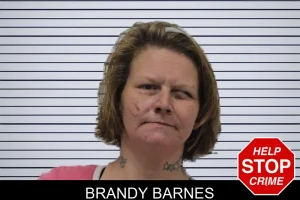 Brandy Barnes mugshot