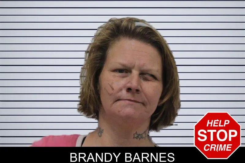 Brandy Barnes mugshot