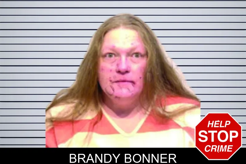 Brandy Bonner mugshot – Bartow County , Georgia Brandy Bonner mugshot