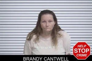 Brandy Cantwell mugshot