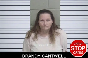 Brandy Cantwell mugshot