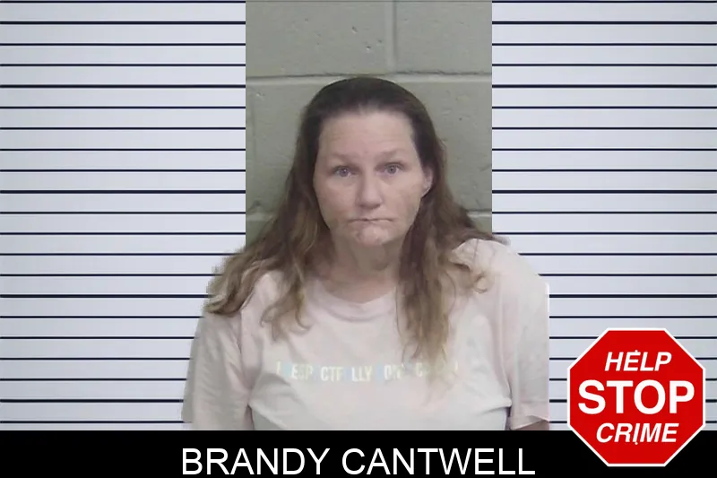 Brandy Cantwell mugshot