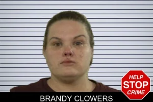 Brandy Clowers mugshot