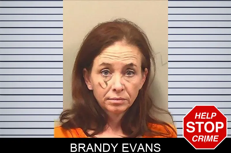 Brandy Evans mugshot