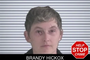 Brandy Hickox mugshot