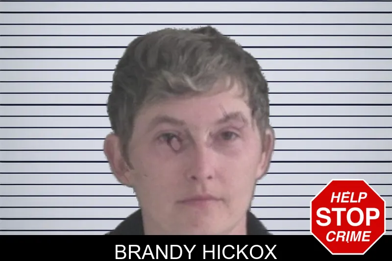 Brandy Hickox mugshot