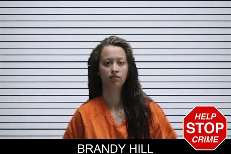 Brandy Hill
