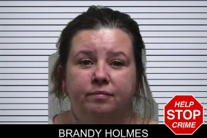 Brandy Holmes mugshot