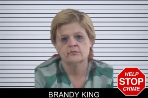 Brandy King mugshot