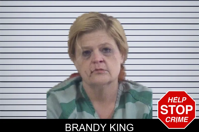 Brandy King mugshot