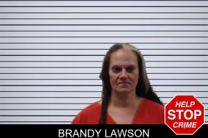 Brandy Lawson mugshot