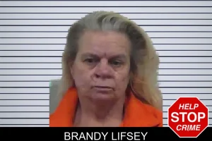 Brandy Lifsey mugshot