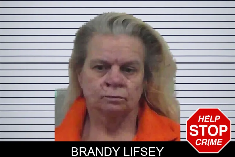 Brandy Lifsey mugshot