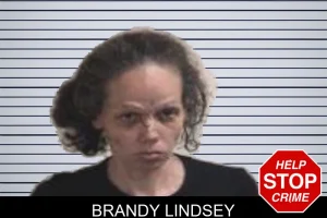 Brandy Lindsey mugshot