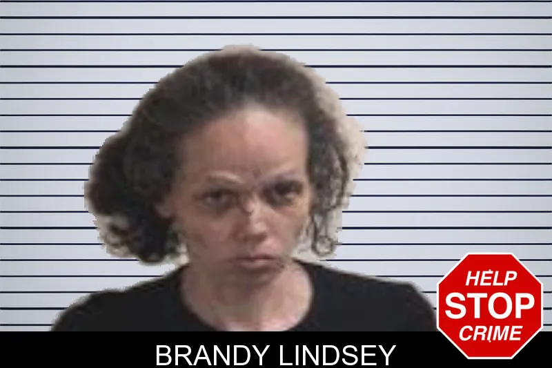 Brandy Lindsey mugshot – Henry County , Georgia Brandy Lindsey mugshot