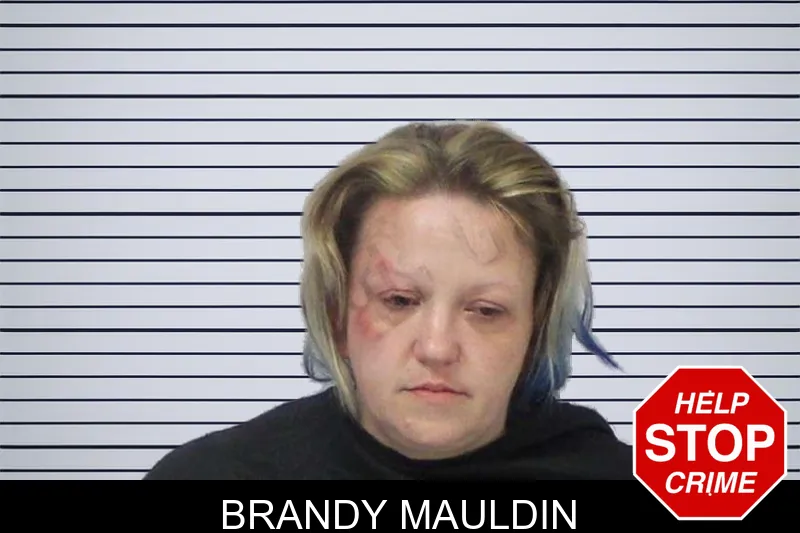 Brandy Mauldin mugshot