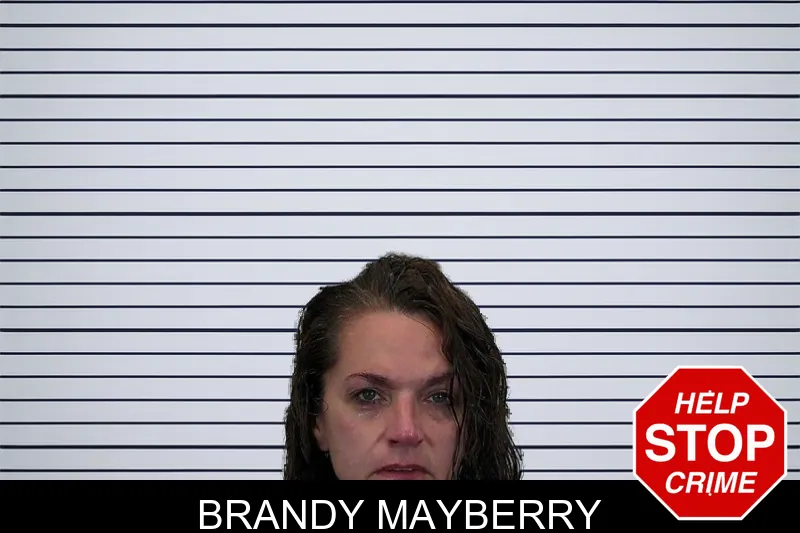 Brandy Mayberry mugshot