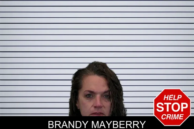 Brandy Mayberry mugshot – Hart County , Georgia Brandy Mayberry