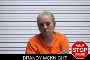 Brandy McKnight mugshot