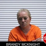 Brandy McKnight mugshot