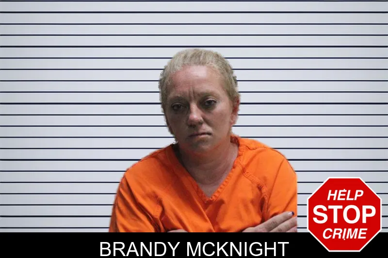 Brandy McKnight mugshot