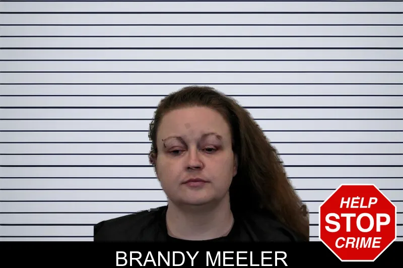 Brandy Meeler mugshot