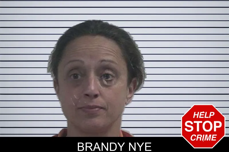Brandy Nye mugshot