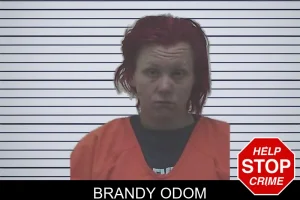 Brandy Odom mugshot