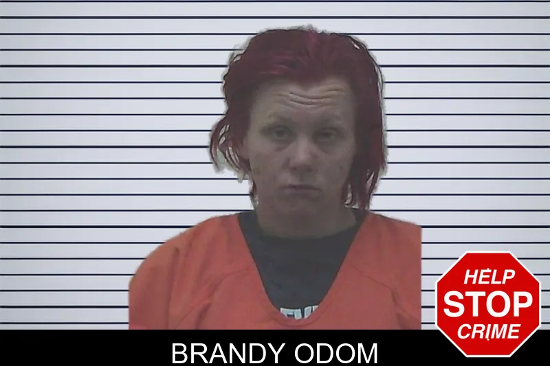 Brandy Odom mugshot