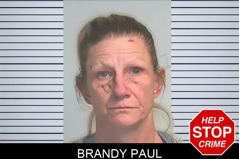 Brandy Paul mugshot – Berrien County , Georgia Brandy Paul