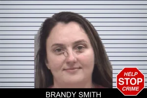 Brandy Smith mugshot