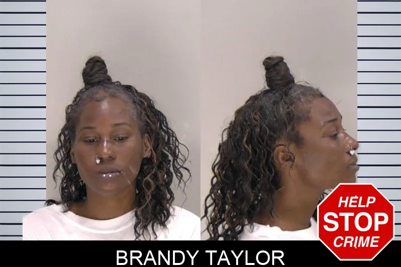 Brandy Taylor mugshot