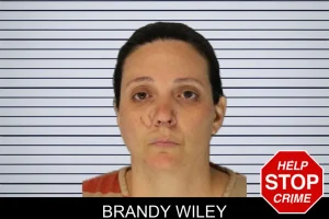 Brandy Wiley mugshot