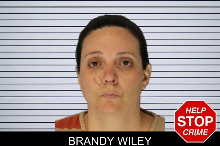 Brandy Wiley mugshot – Hall County , Georgia Brandy Wiley