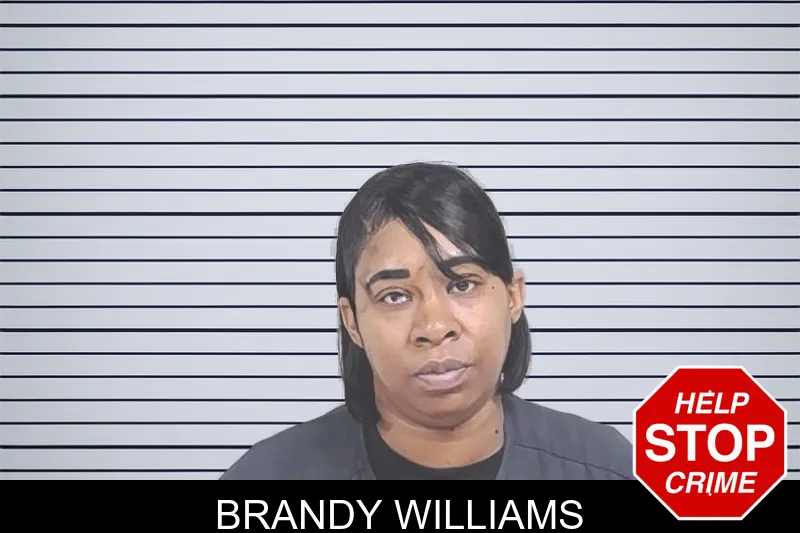 Brandy Williams mugshot