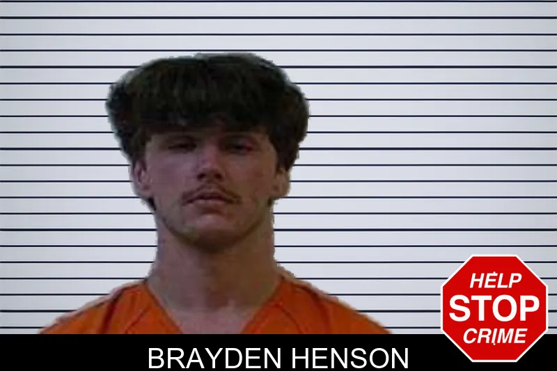 Brayden Henson mugshot