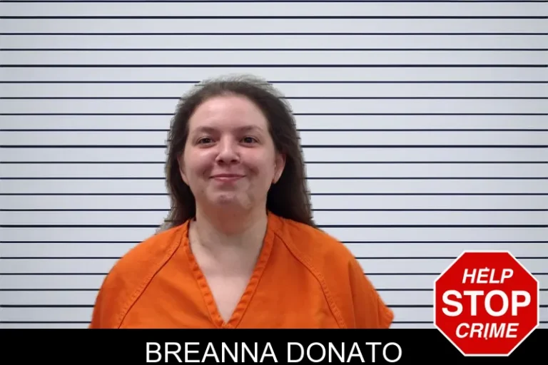 Breanna Donato mugshot – Pickens County , Georgia Breanna Donato
