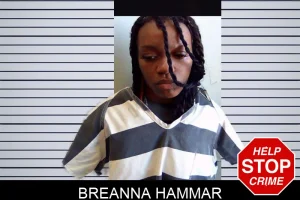 Breanna Hammar mugshot