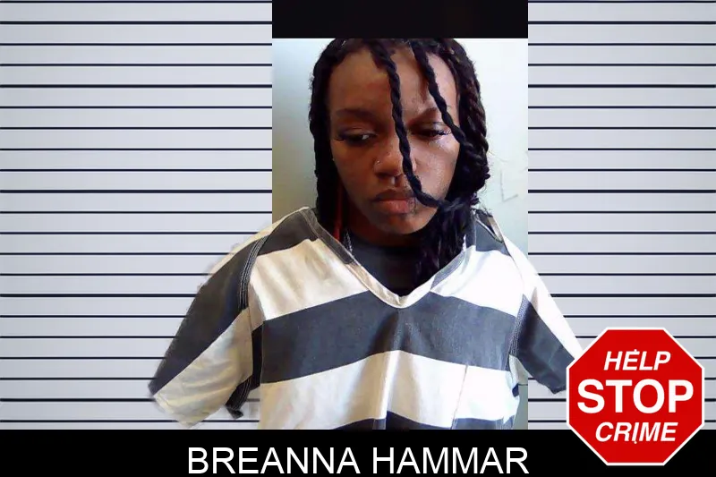 Breanna Hammar mugshot
