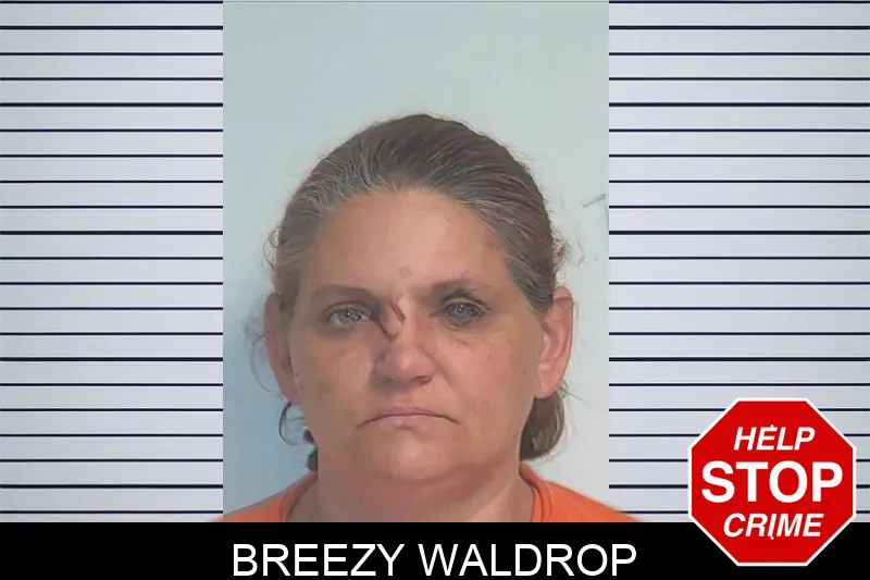 Breezy Waldrop mugshot – Berrien County , Georgia Breezy Waldrop mugshot