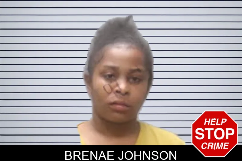 Brenae Johnson mugshot