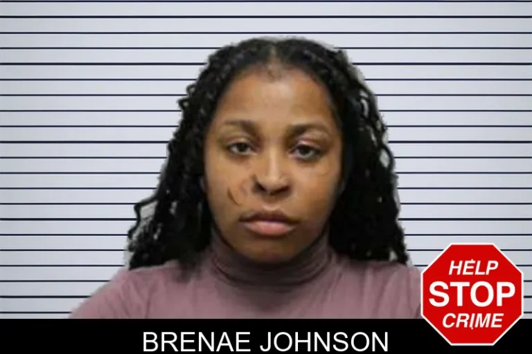 Brenae Johnson mugshot – Harris County , Georgia Brenae Johnson